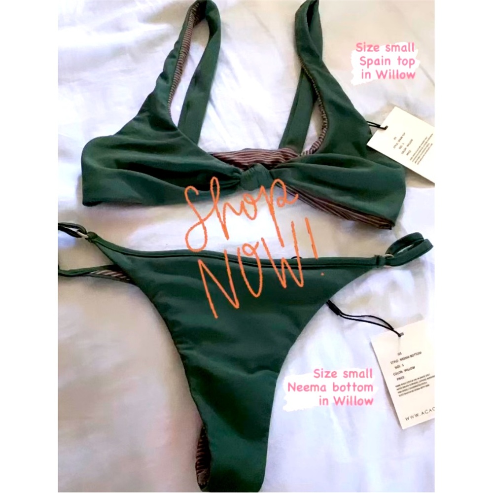 Acacia bikini